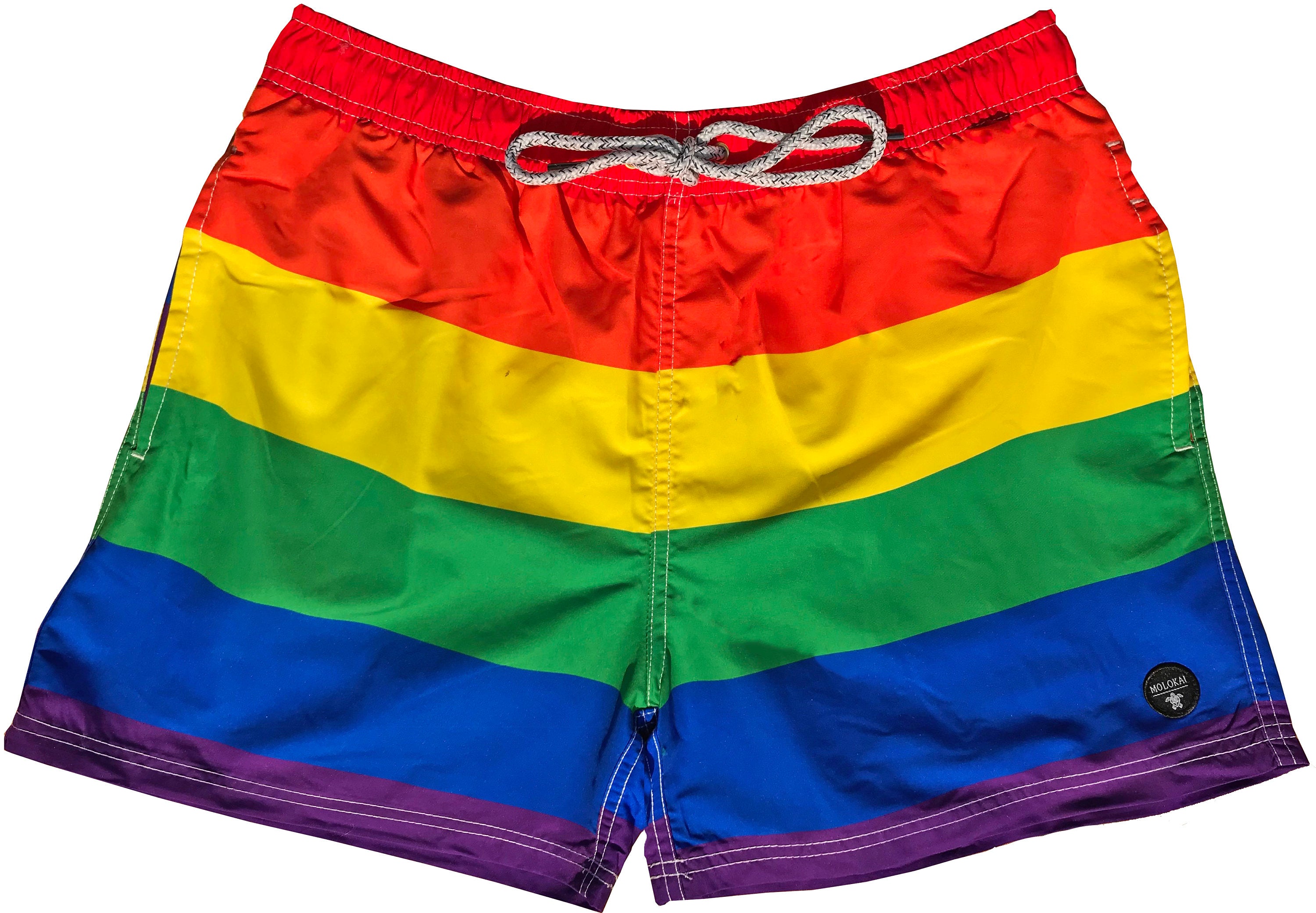 Pride Swim Trunks