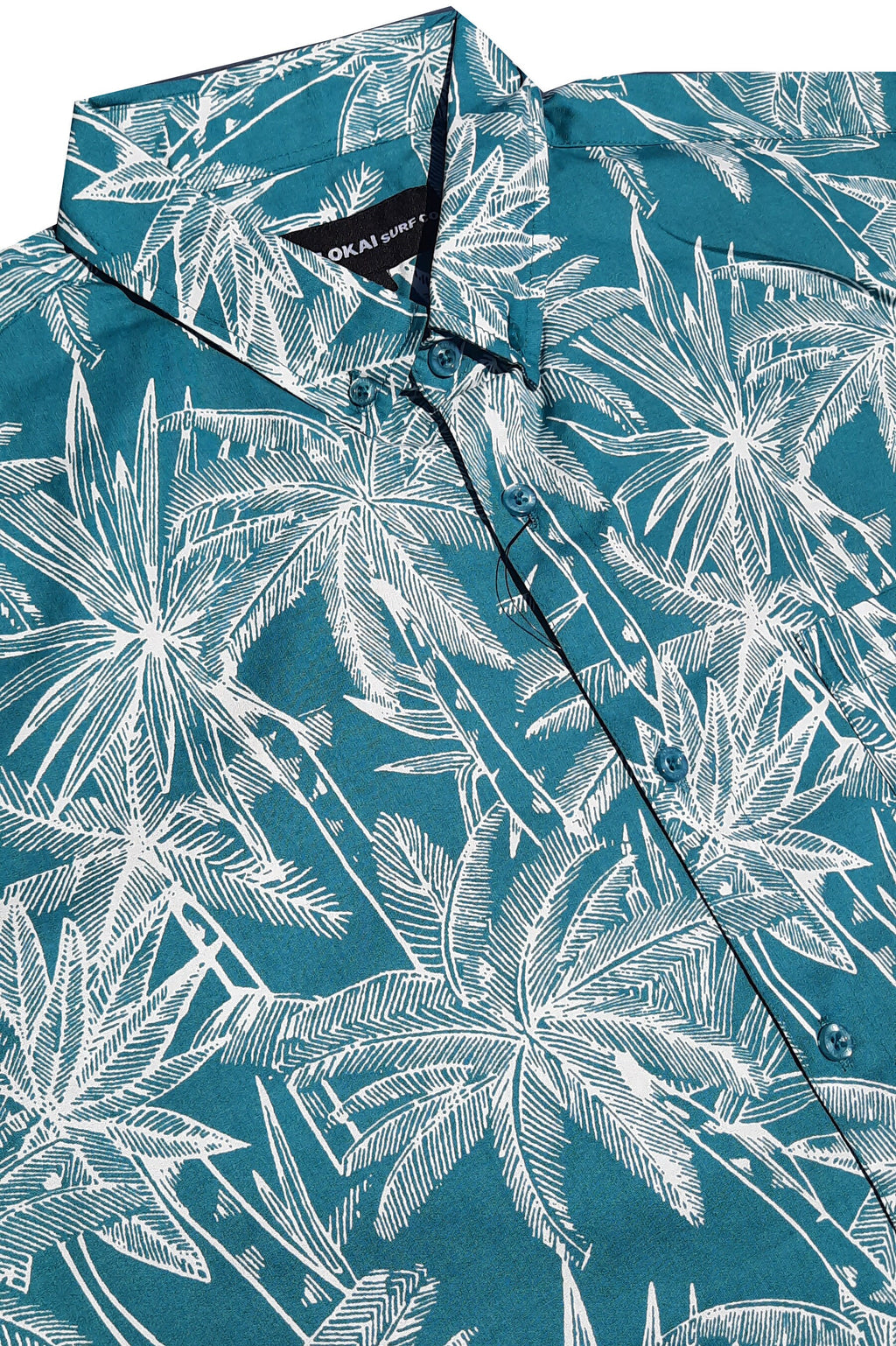 Turquoise and White Palms