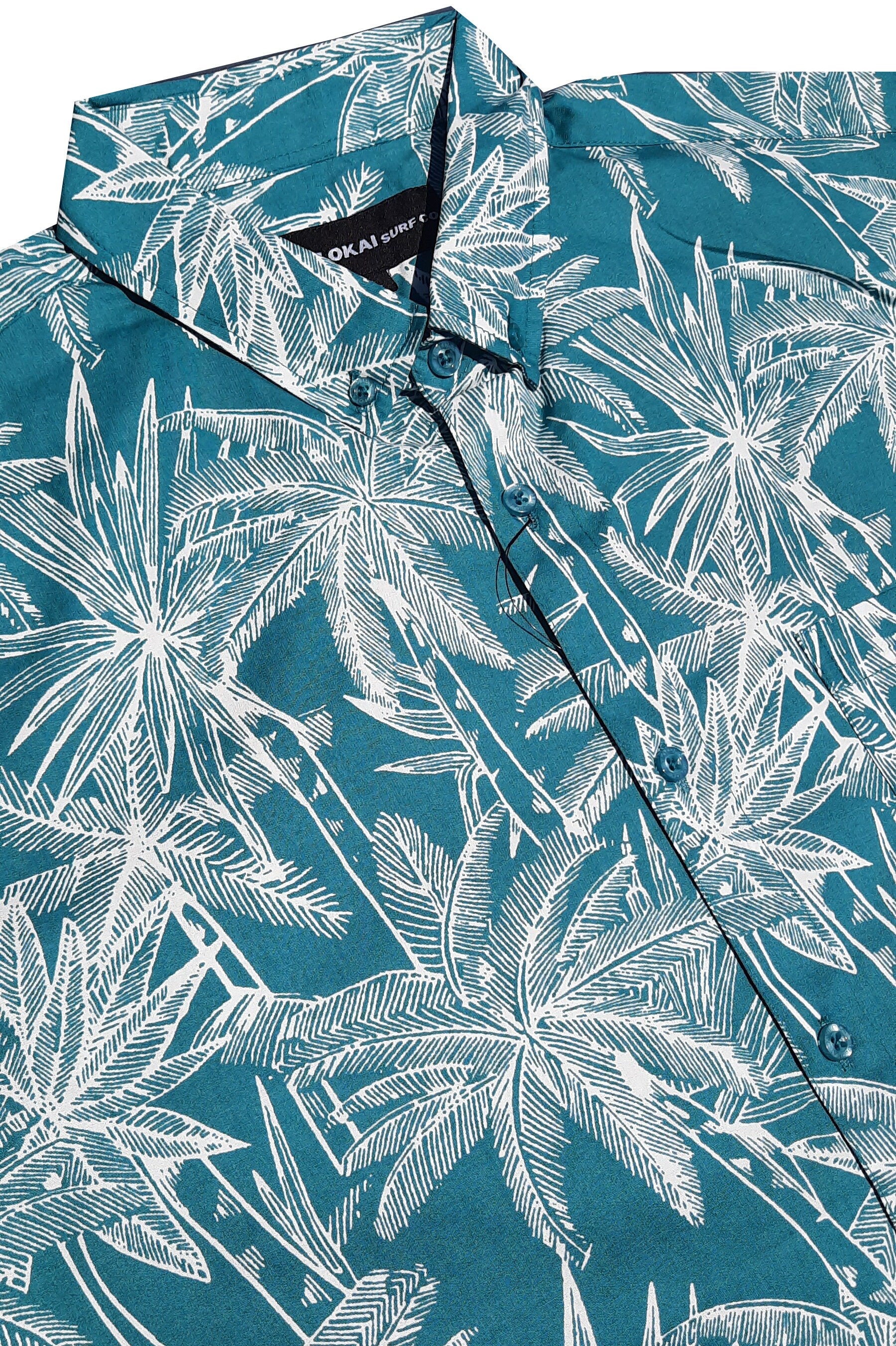 Turquoise and White Palms