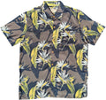 Vintage Birds of Paradise