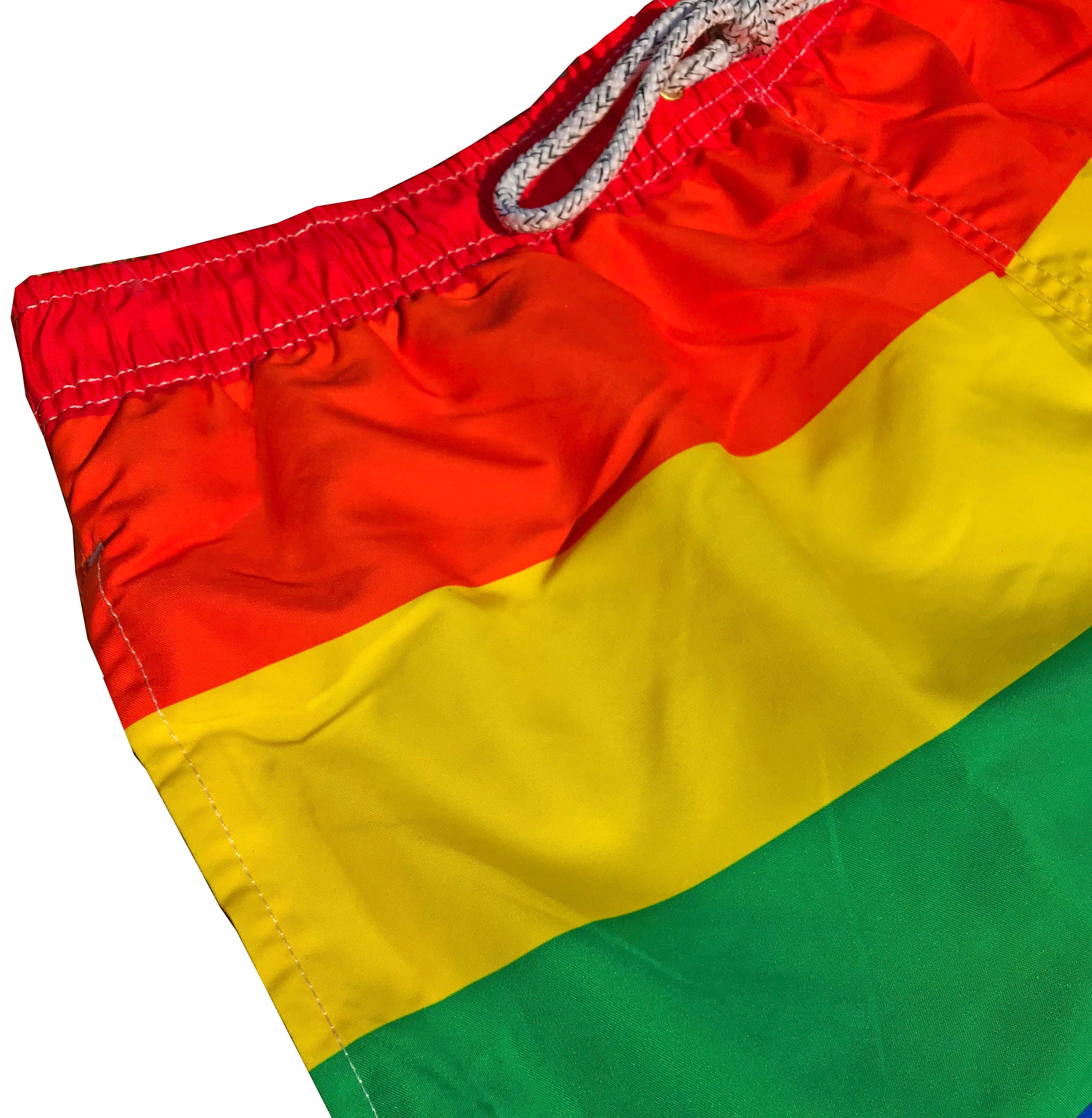 Pride Mens Swim Trunks
