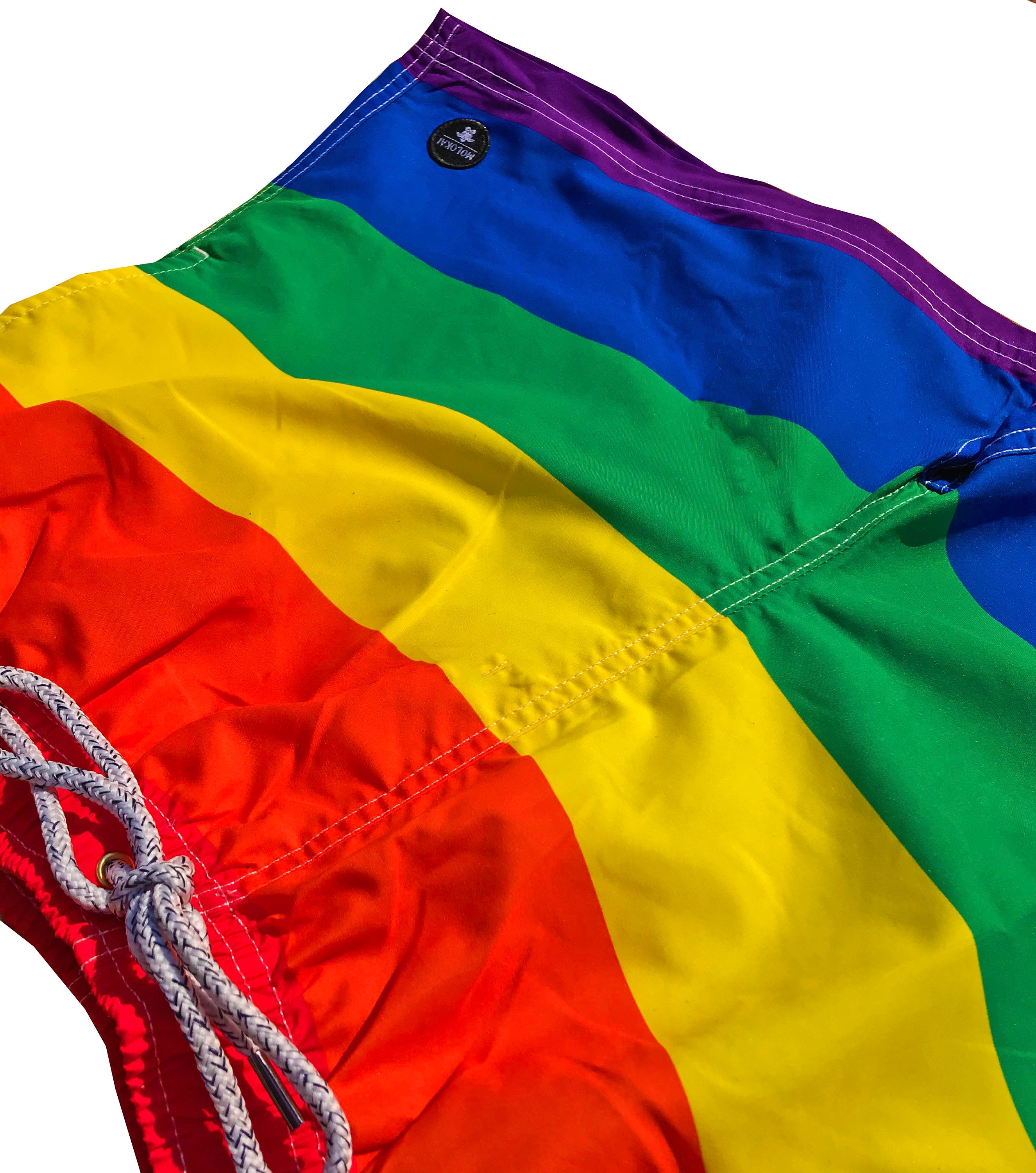 Pride Mens Swim Trunks